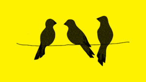Rysunek trzech czarnych ptaków siedzących obok siebie na żółtym tle