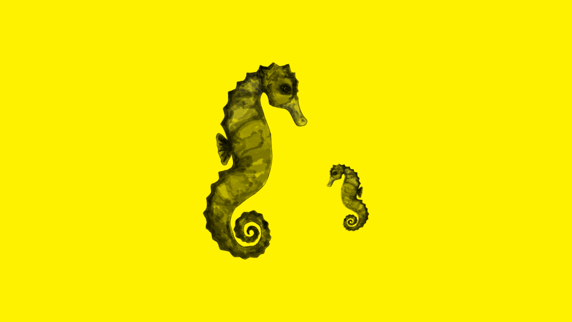Czarny rysunek dwóch koników morskich na żółtym tle
